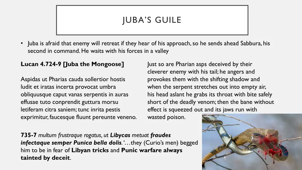 juba s guile