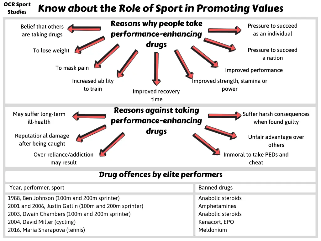 ocr sport studies