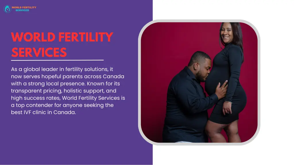 world fertility services