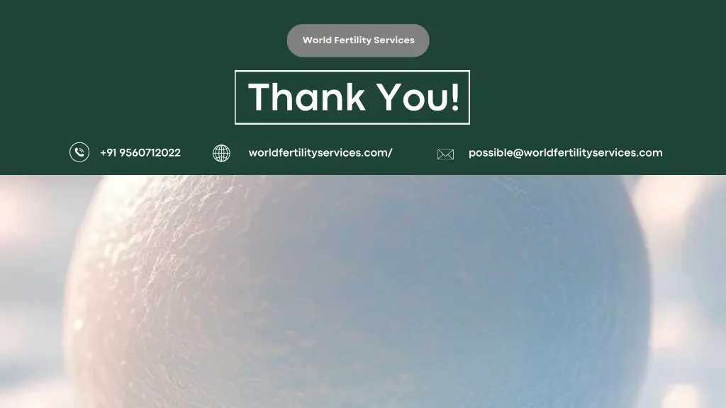 world fertility services 2