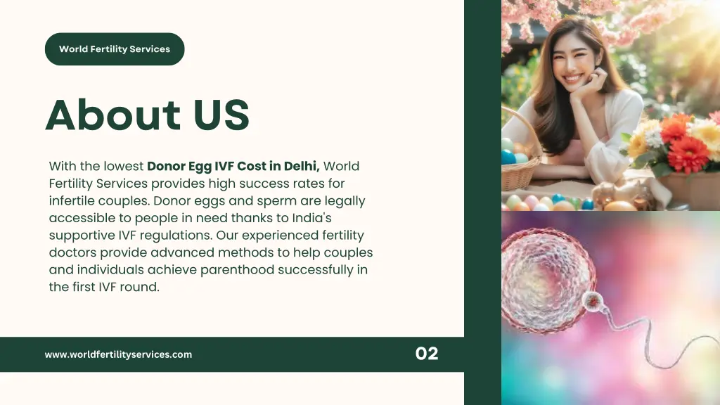 world fertility services