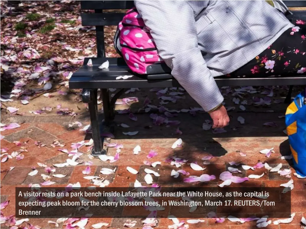 a visitor rests on a park bench inside lafayette