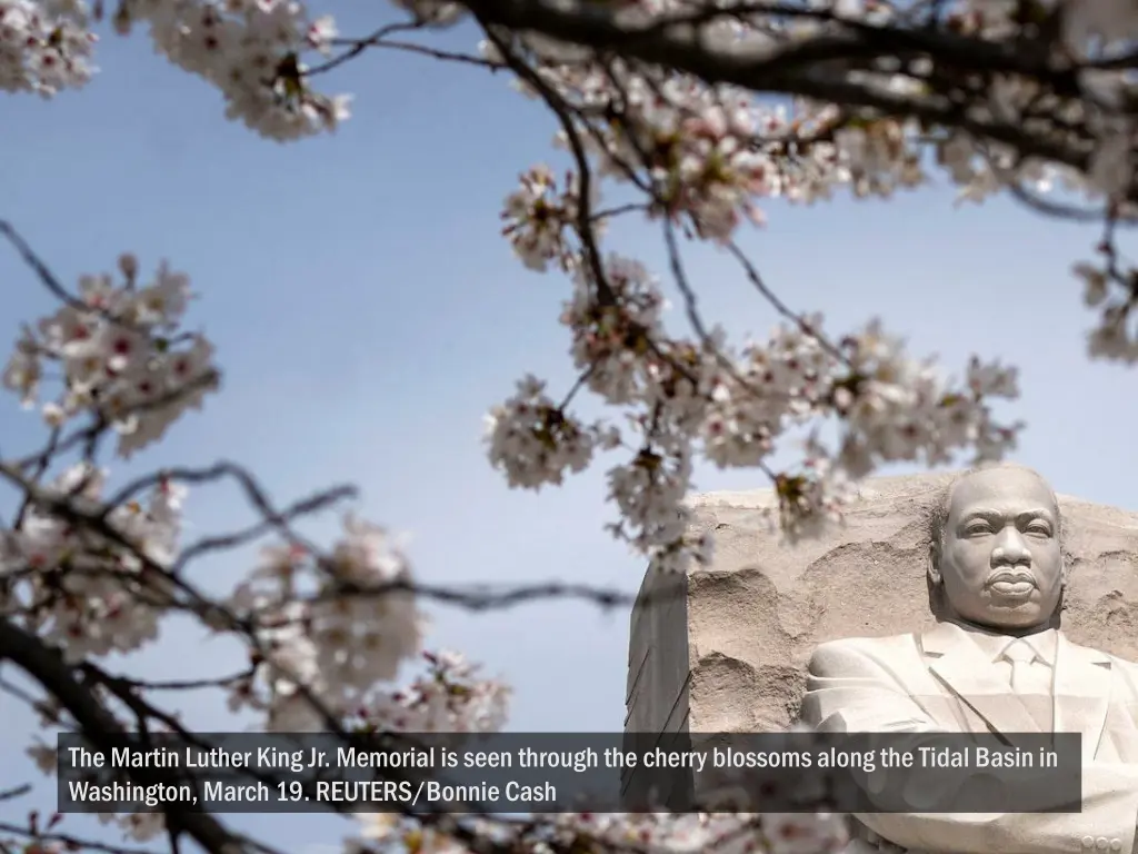 the martin luther king jr memorial is seen