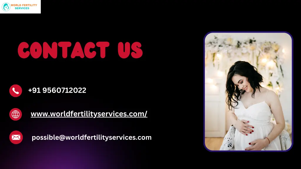 contact us