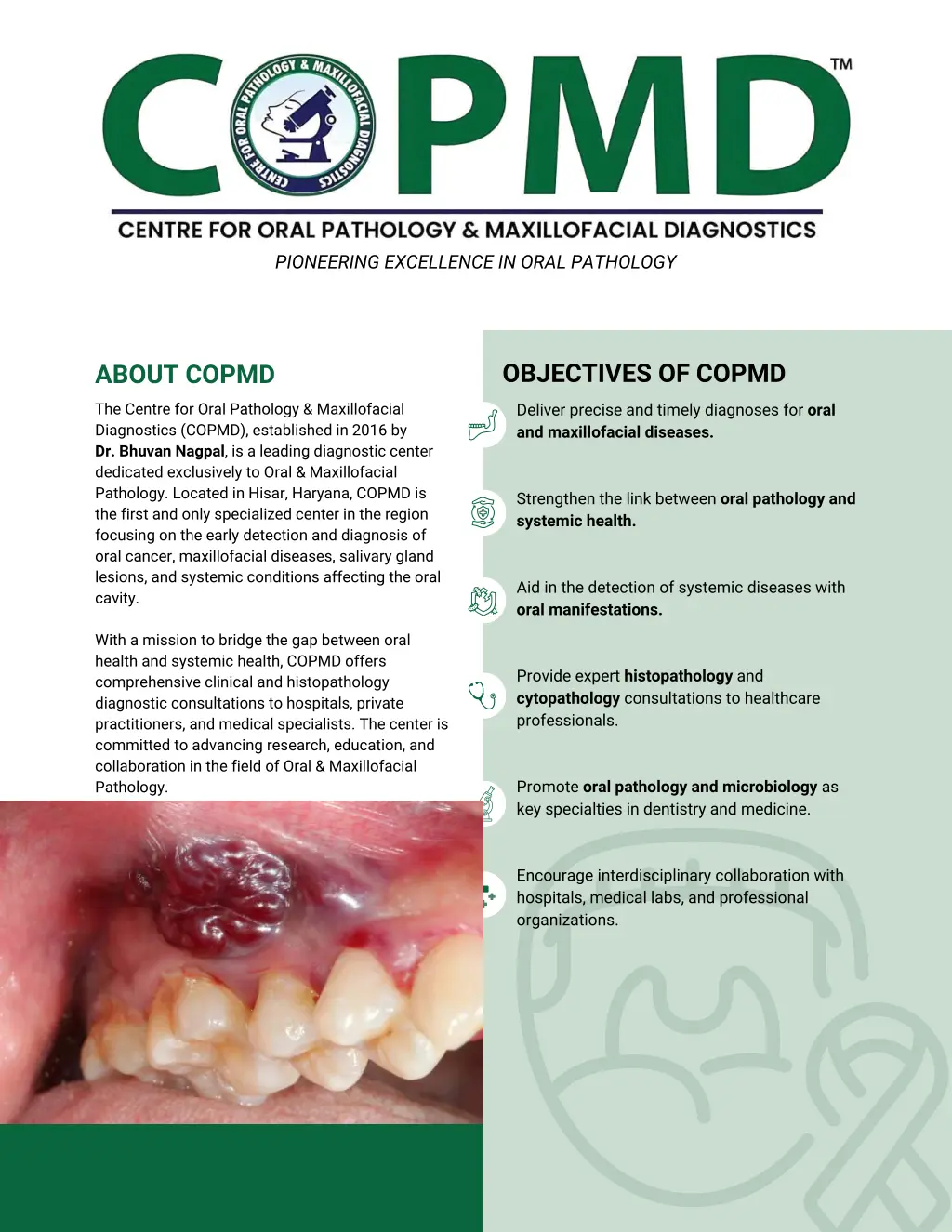 pioneering excellence in oral pathology