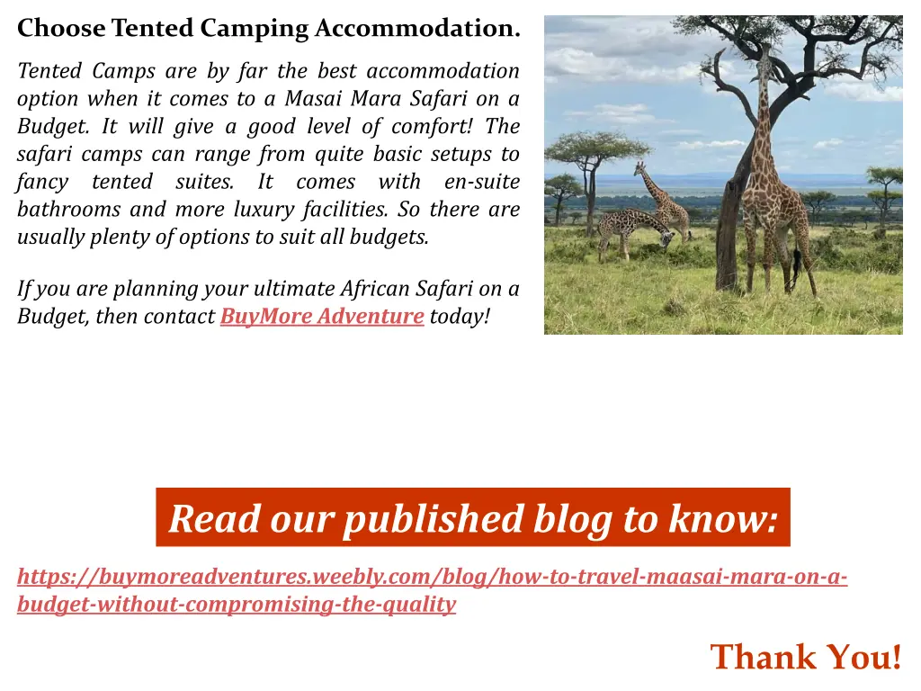 choose tented camping accommodation