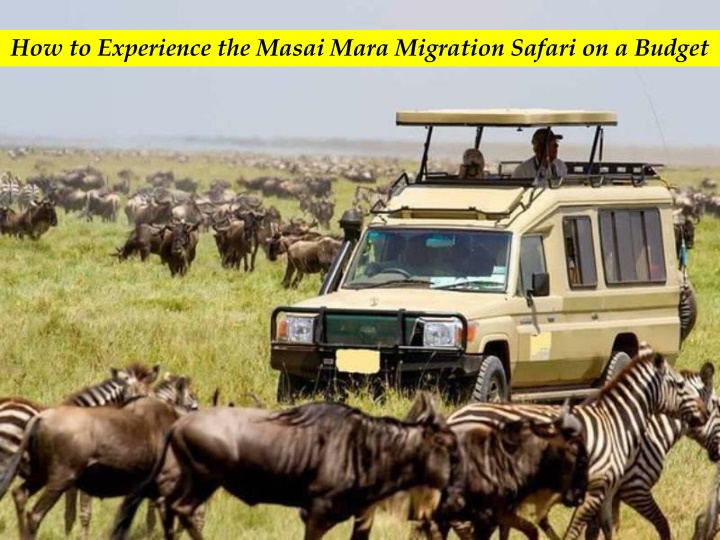 how to experience the masai mara migration safari