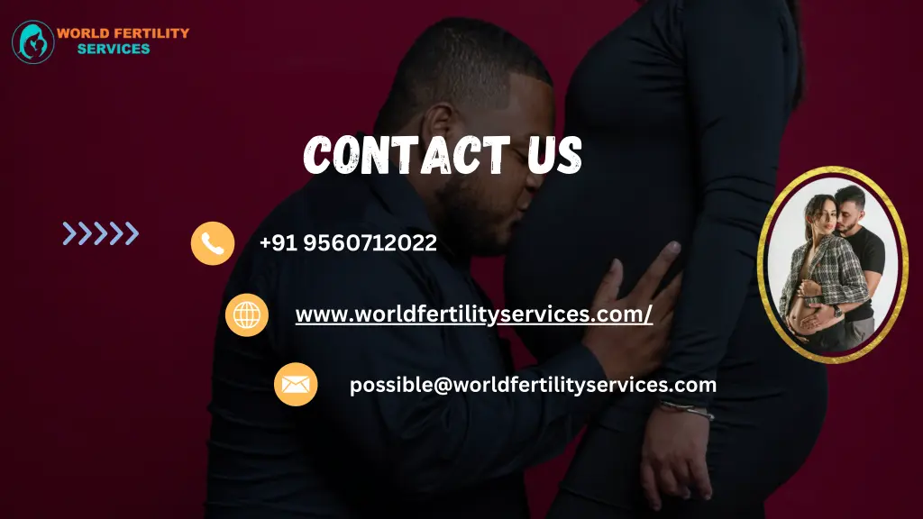 contact us