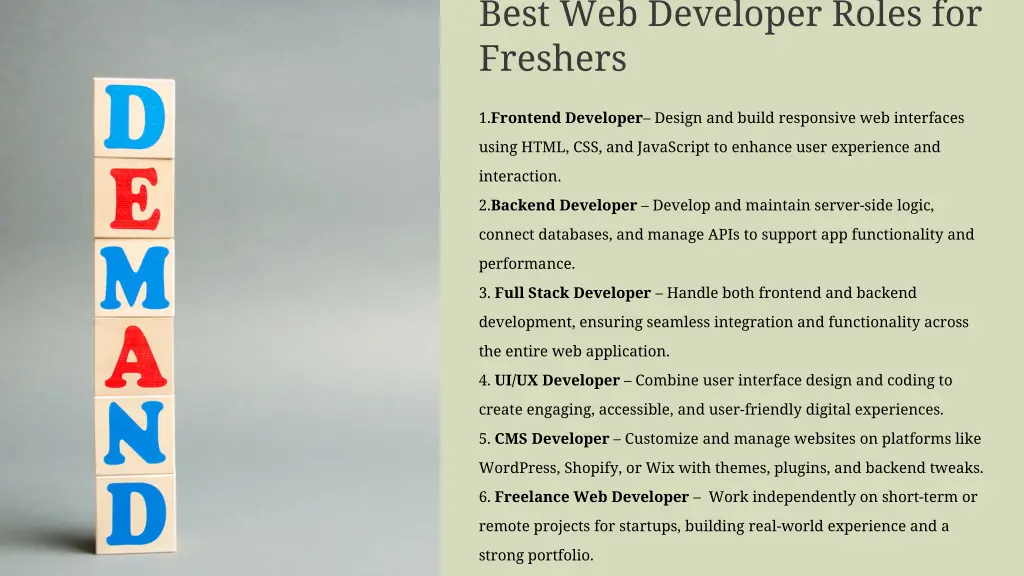 best web developer roles for freshers