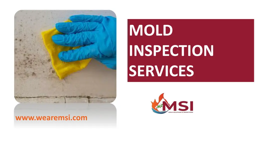 mold inspection services