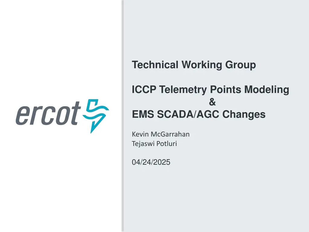 technical working group