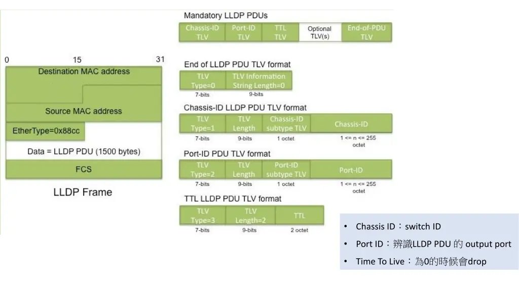 lldp frame