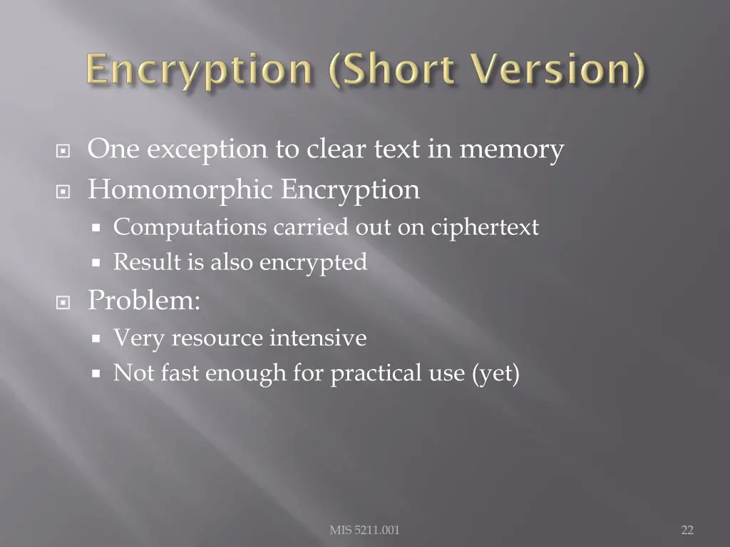 one exception to clear text in memory homomorphic