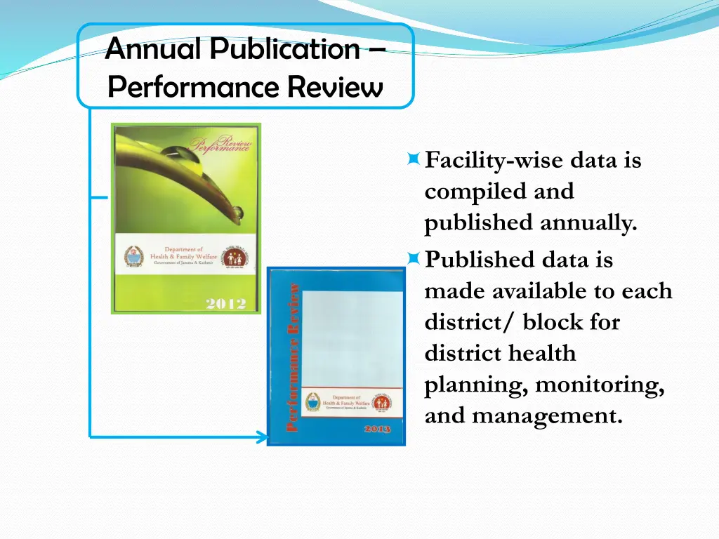 annual publication performance review