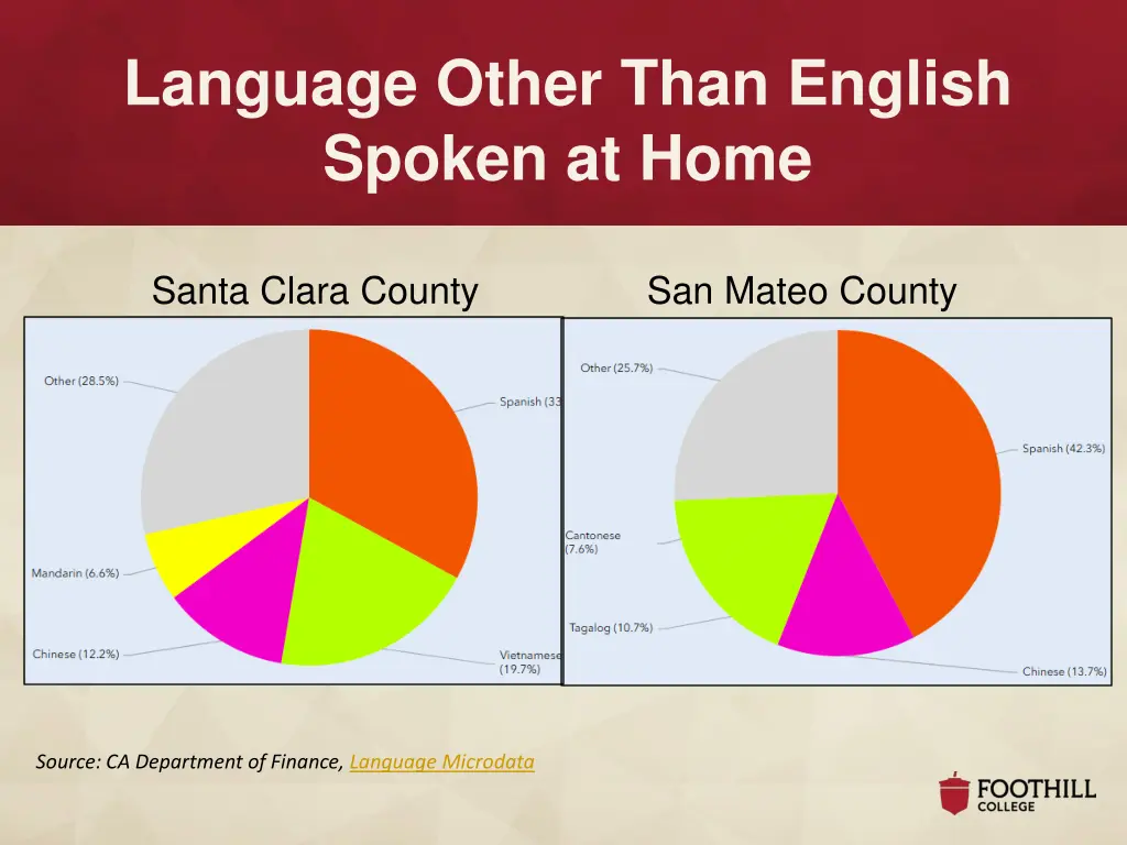 language other than english spoken at home