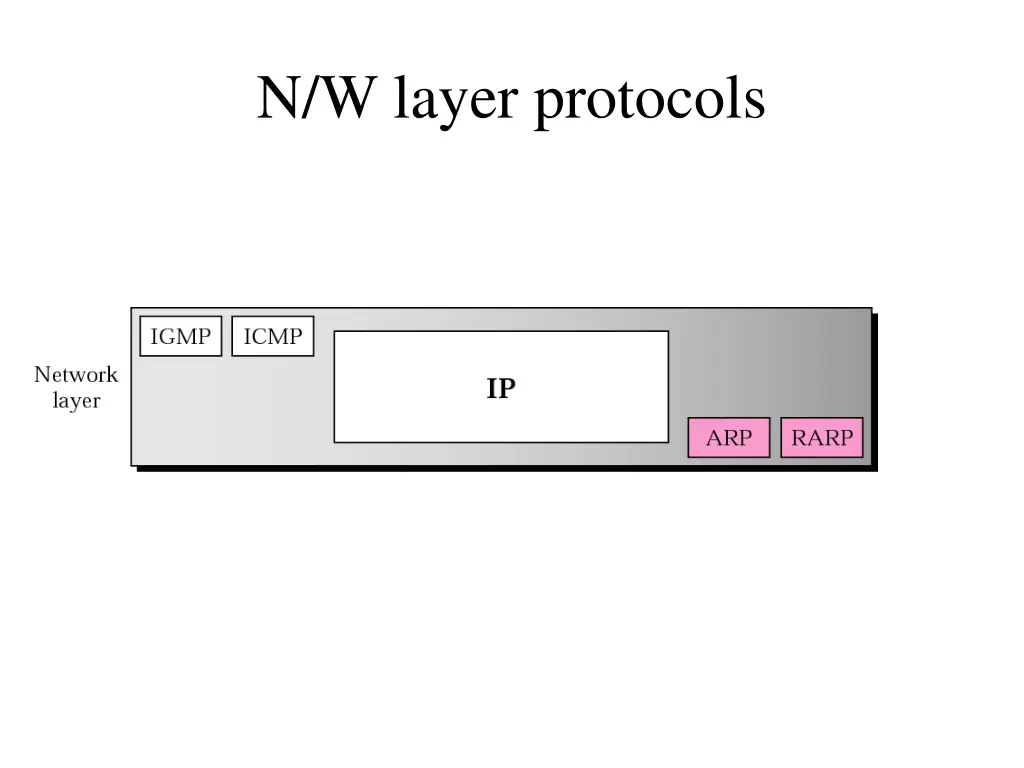 n w layer protocols