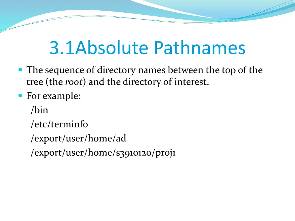 3 1absolute pathnames