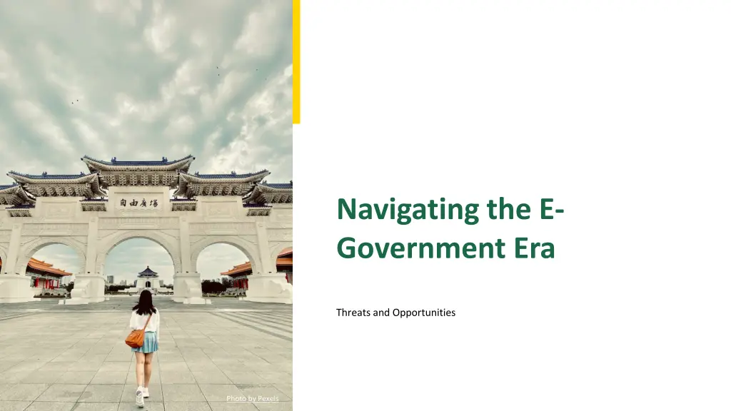 navigating the e government era