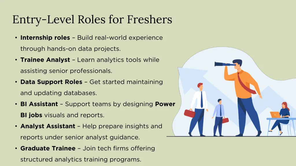 entry level roles for freshers