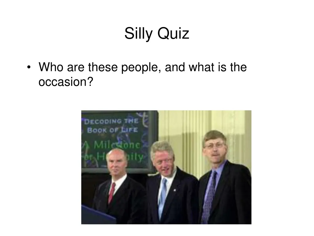 silly quiz