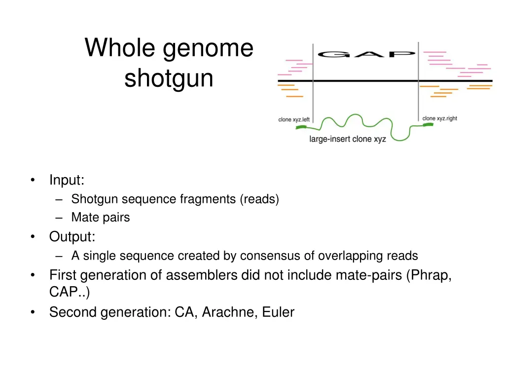whole genome shotgun 2