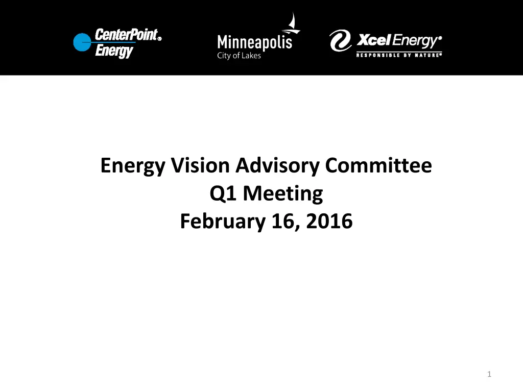 energy vision advisory committee q1 meeting