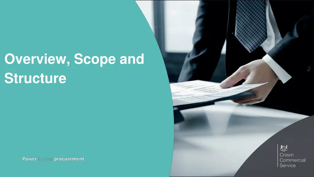 overview scope and structure