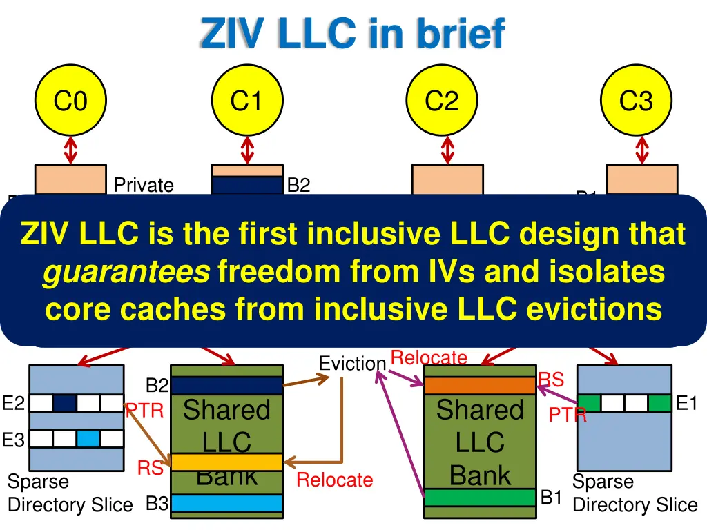 ziv llc in brief 1