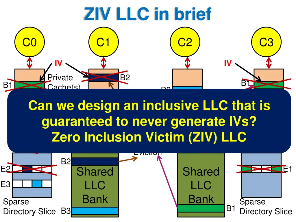 ziv llc in brief
