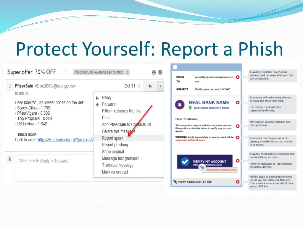 protect yourself report a phish