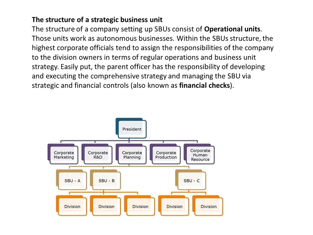 the structure of a strategic business unit