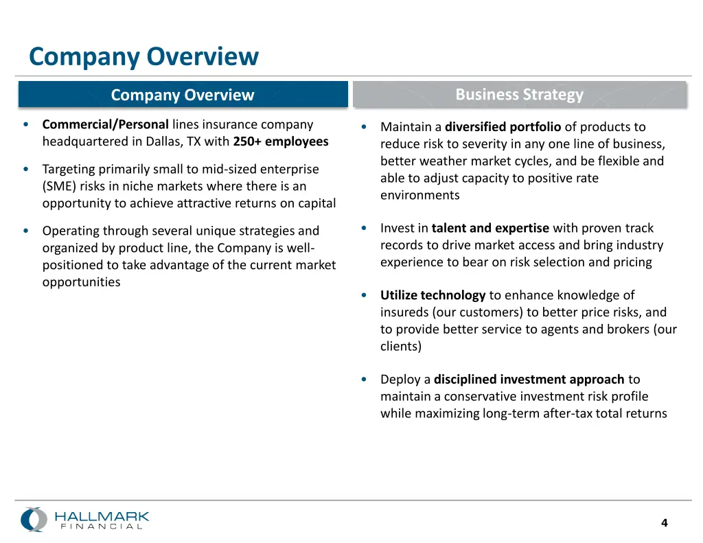 company overview 1