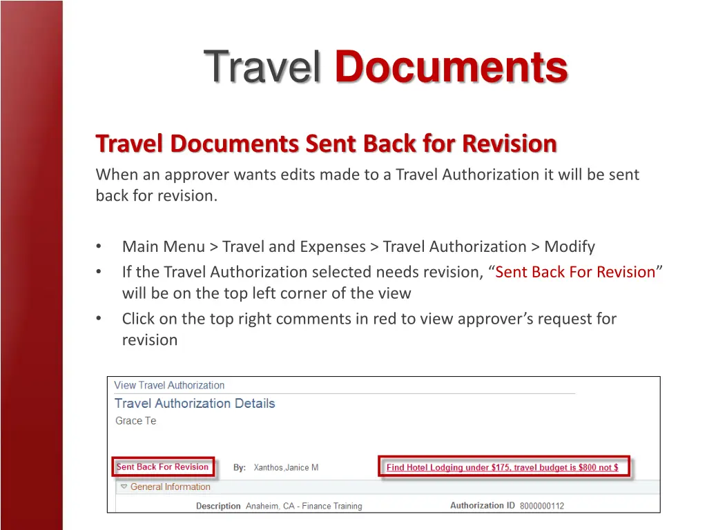 travel documents 2