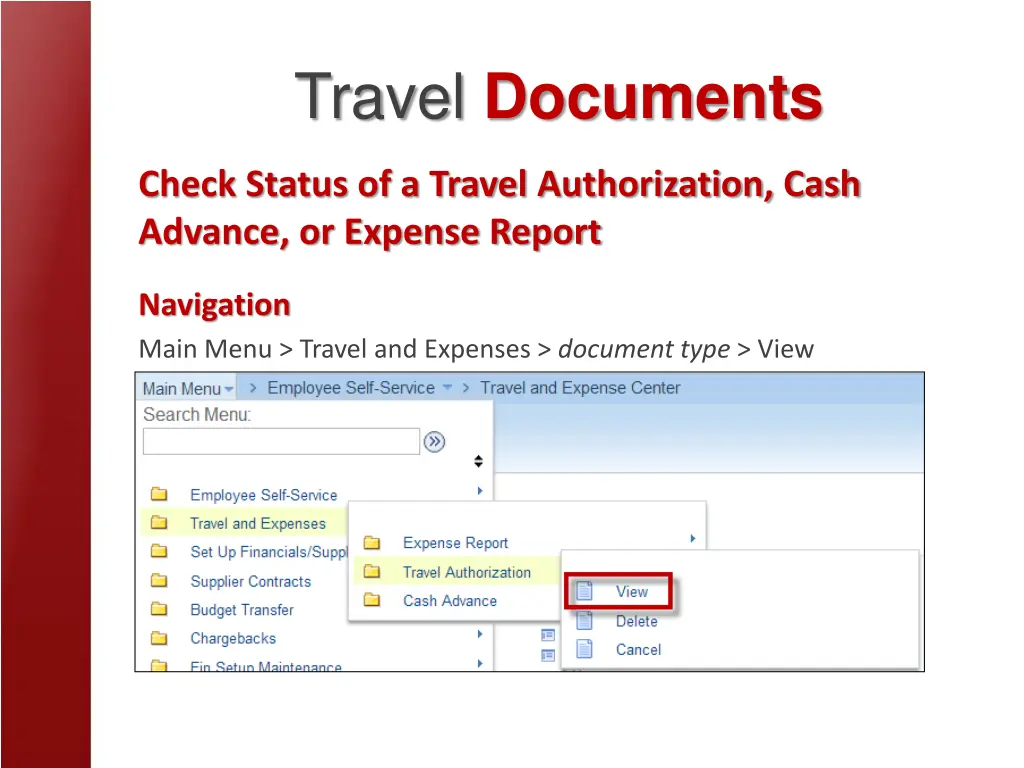 travel documents