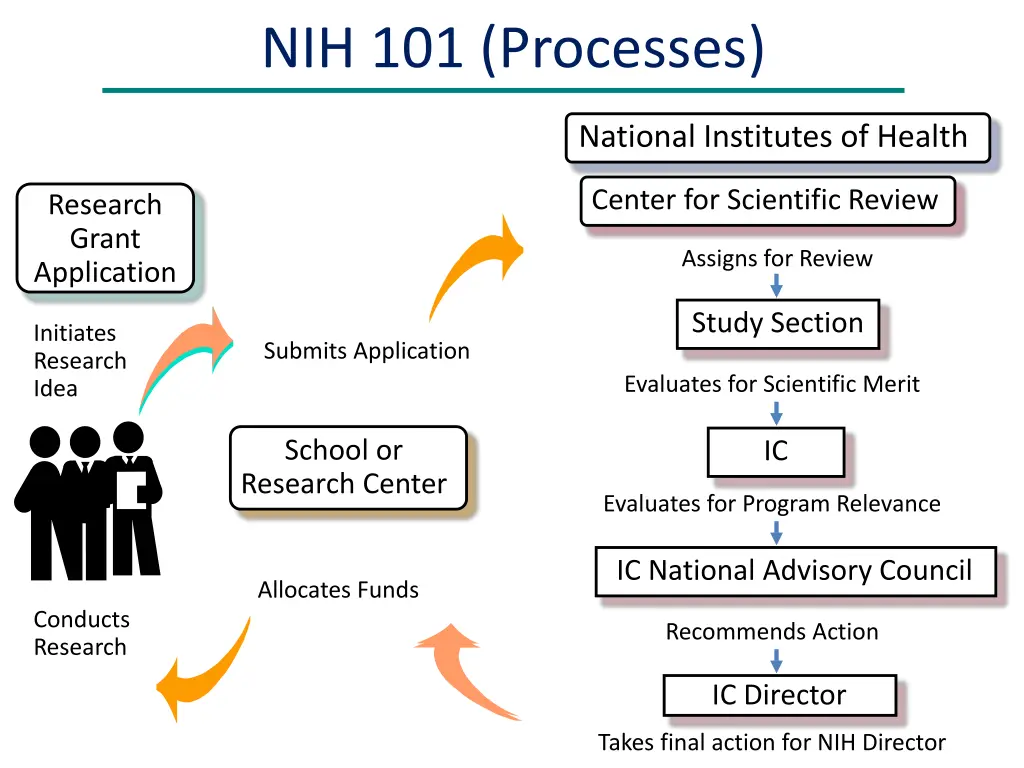 nih 101 processes