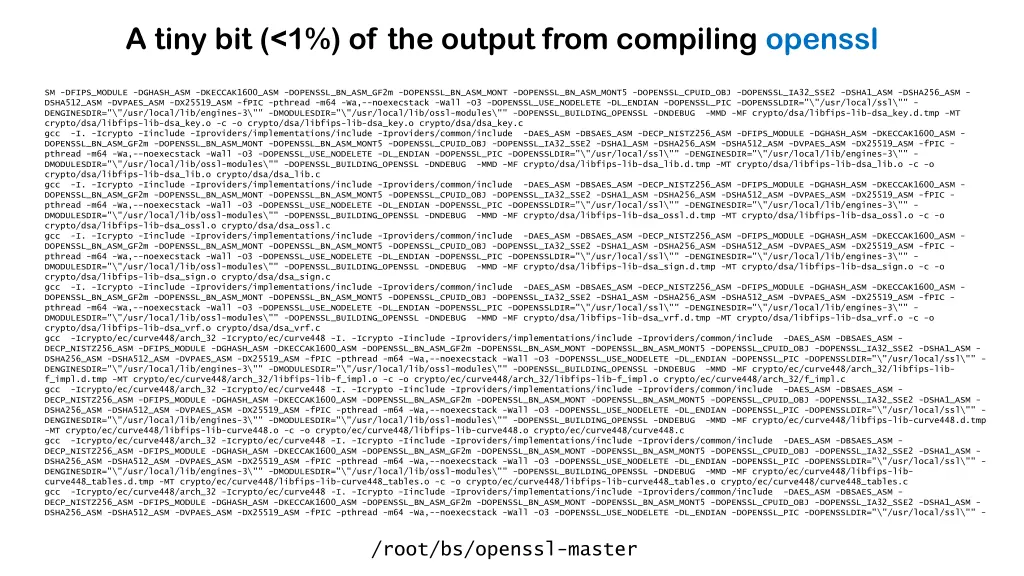 a tiny bit 1 of the output from compiling openssl