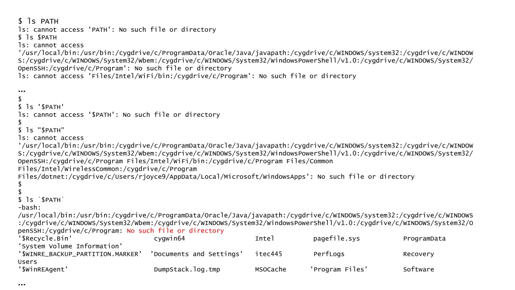 ls path ls cannot access path no such file