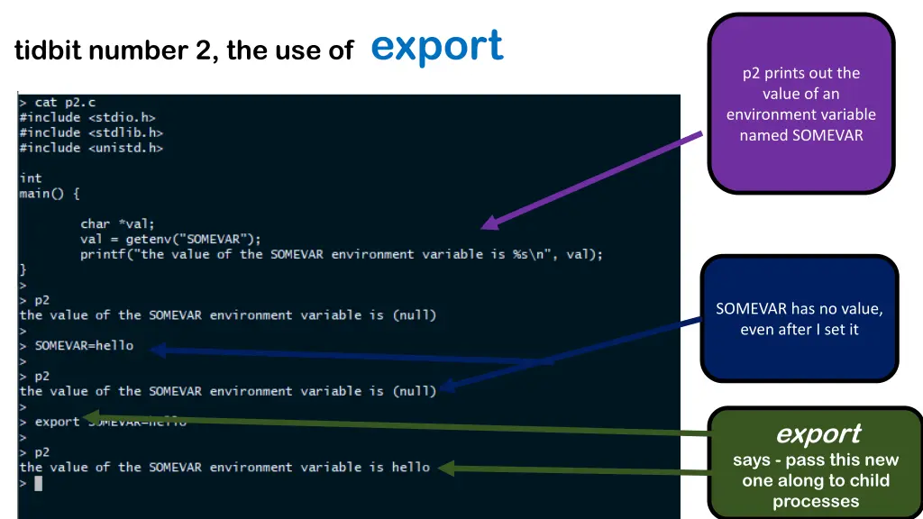 tidbit number 2 the use of export