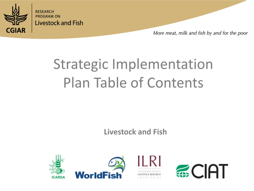 strategic implementation plan table of contents