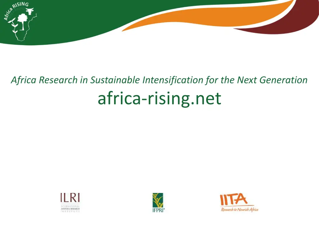 africa research in sustainable intensification