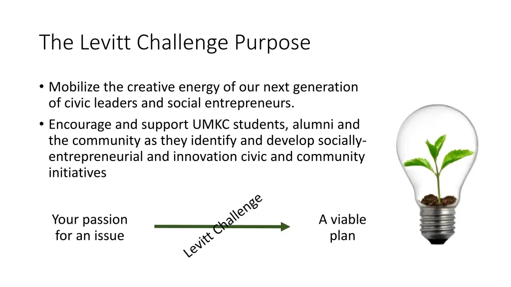 the levitt challenge purpose