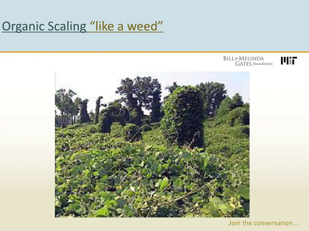 organic scaling like a weed