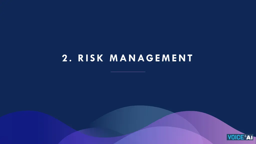 2 risk management