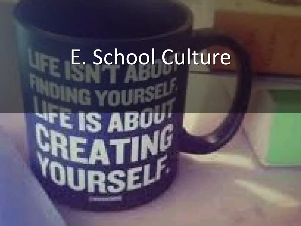 e school culture