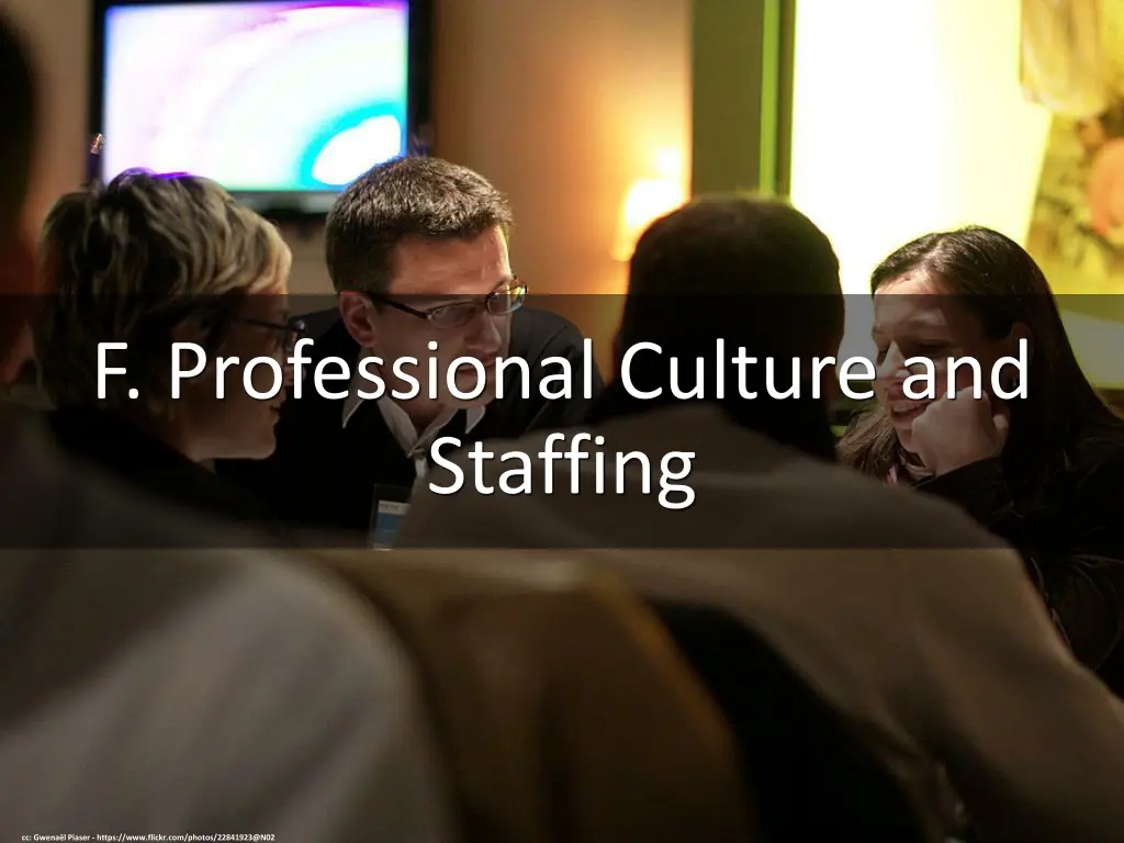 f professional culture and staffing