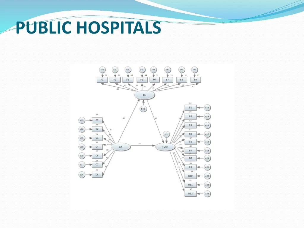 public hospitals