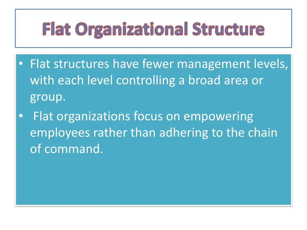 flat organizational structure