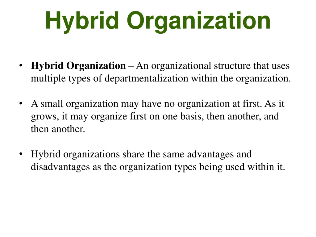 hybrid organization
