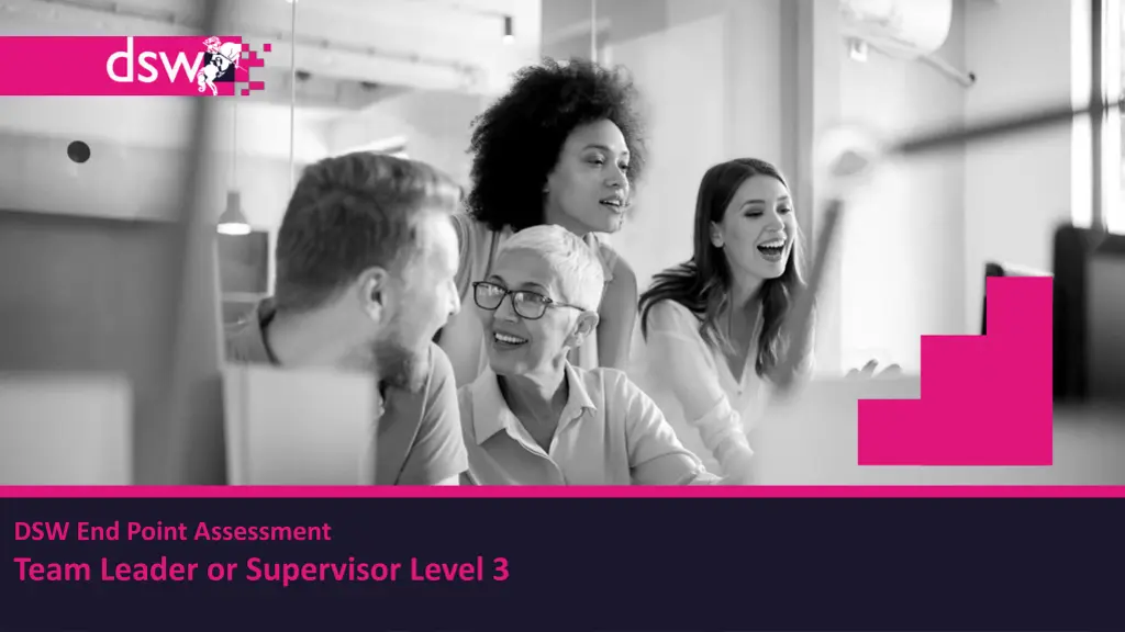 dsw end point assessment team leader