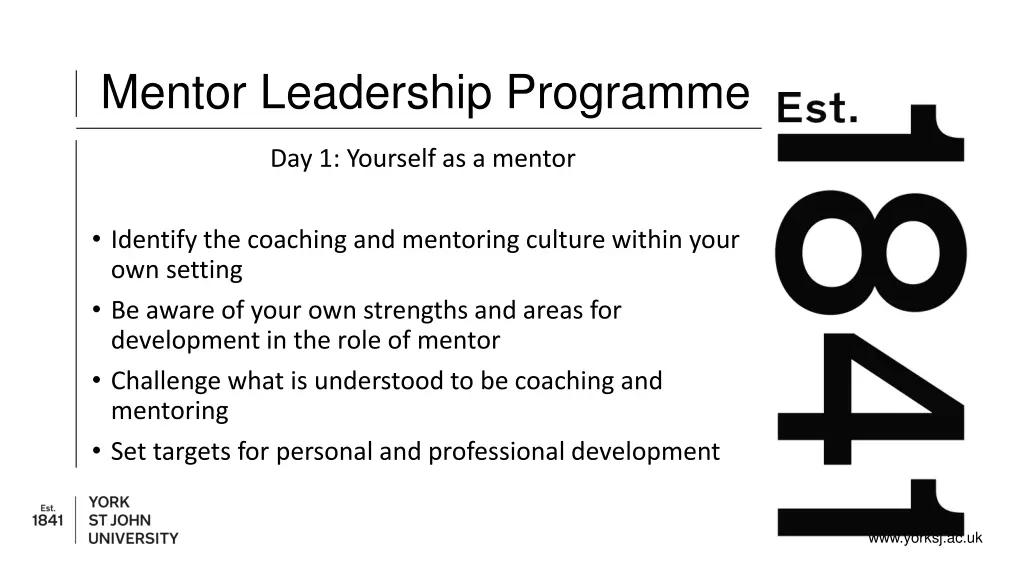 mentor leadership programme
